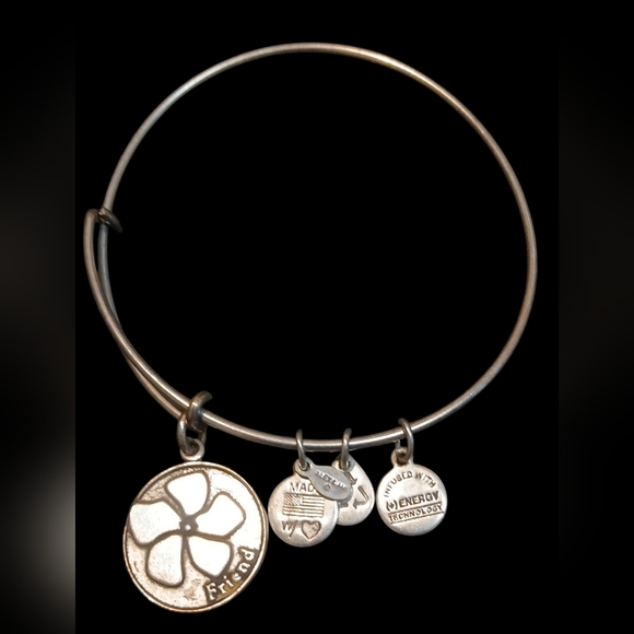 Alex and Ani Jewelry - Alex and Ani - Silver Tone Wire Energy Infused Friend Charm Bracelet, Date 2013